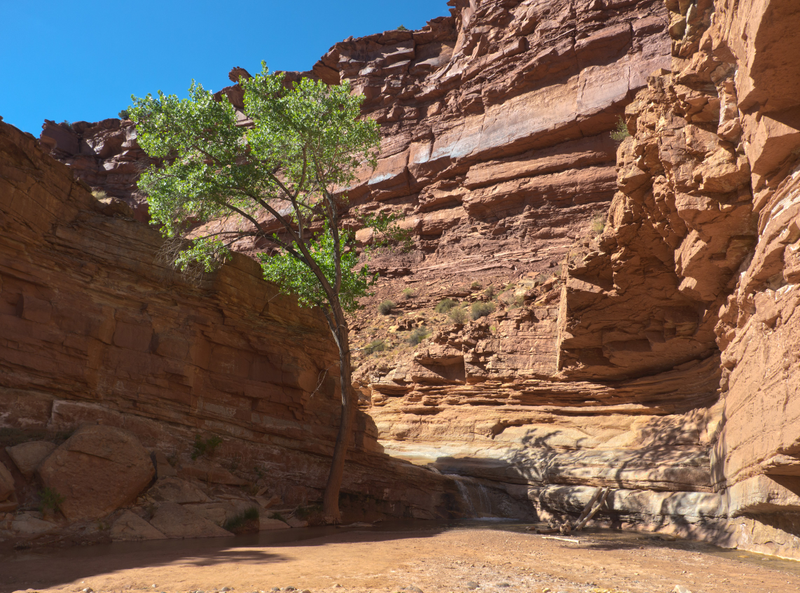 Illustration for article titled Capitol Reef - A not overlanding post
